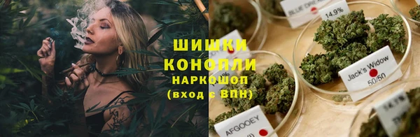 apvp Алзамай