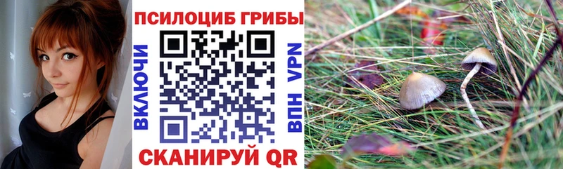 Галлюциногенные грибы Psilocybine cubensis  где продают наркотики  Миньяр 