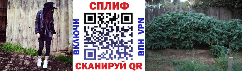 Бошки Шишки план Миньяр